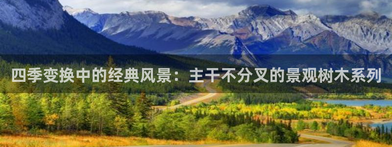 卧龙ktv娱乐会所电话:四季变换中的经典风景:主干不分叉的景观树木系列