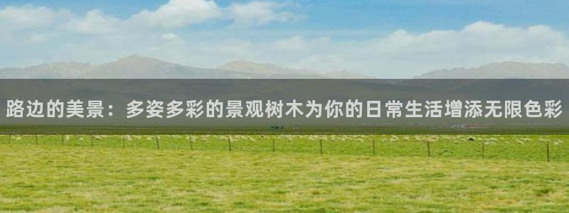 卧龙娱乐老板叫什么名子:路边的美景:多姿多彩的景观树木为你的日常生活增添无限色彩