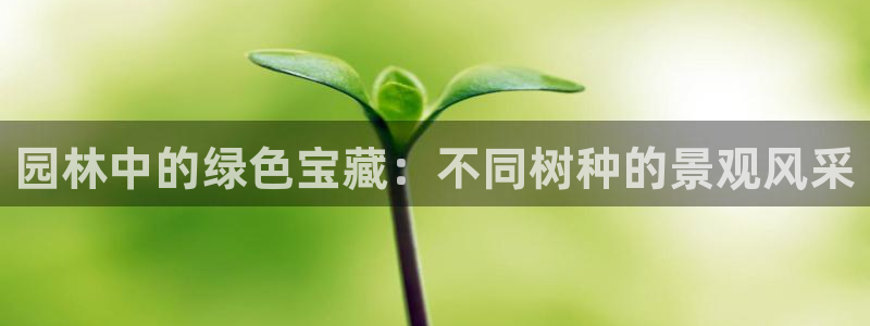 卧龙休闲娱乐推荐:园林中的绿色宝藏:不同树种的景观风采