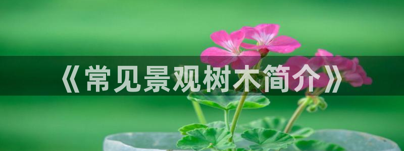 卧龙娱乐可靠吗:《常见景观树木简介》