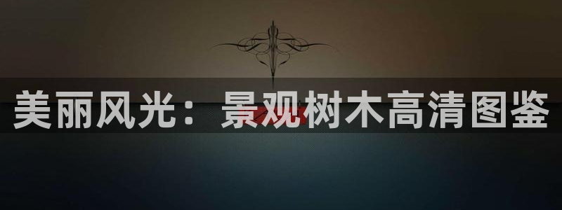 卧龙娱乐违法吗:美丽风光:景观树木高清图鉴